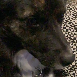 Meet your Posher, Sally